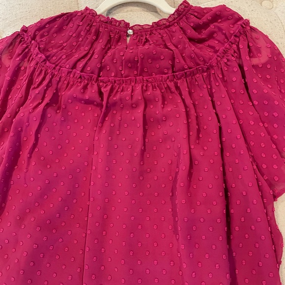 Jcrew raspberry Gathered Bib Top in Drapey Swiss Dot short sleeve shirt - Picture 8 of 10